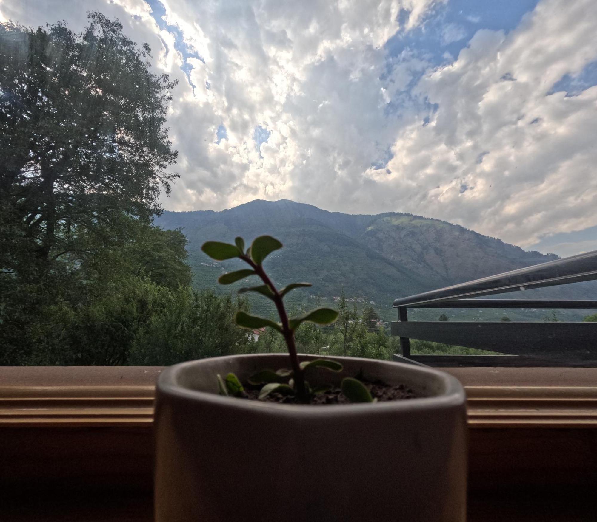 Saanjh - A Serene Retreat Manali  Exterior photo